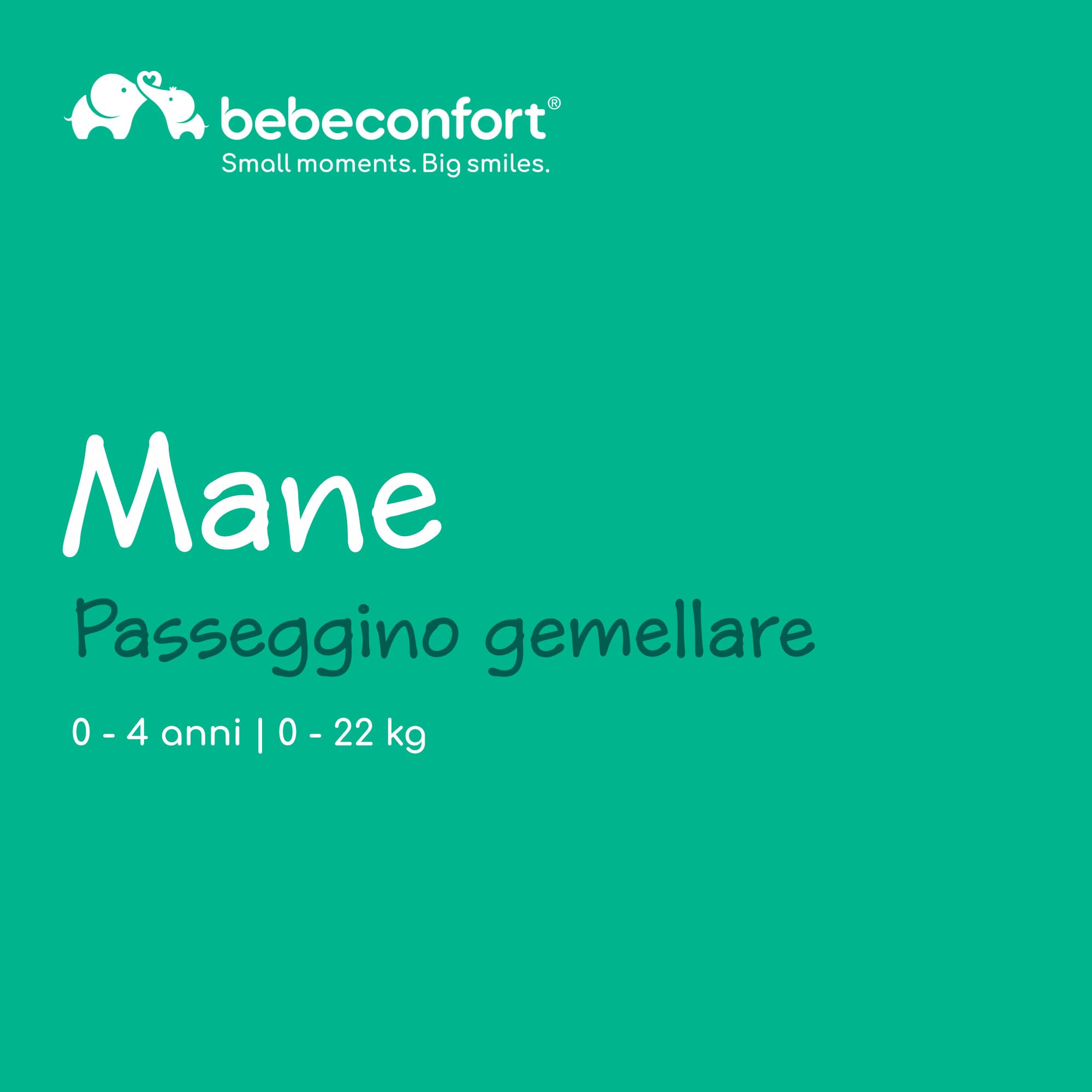 Bebé Confort Mane passeggino gemellare Mineral Graphite