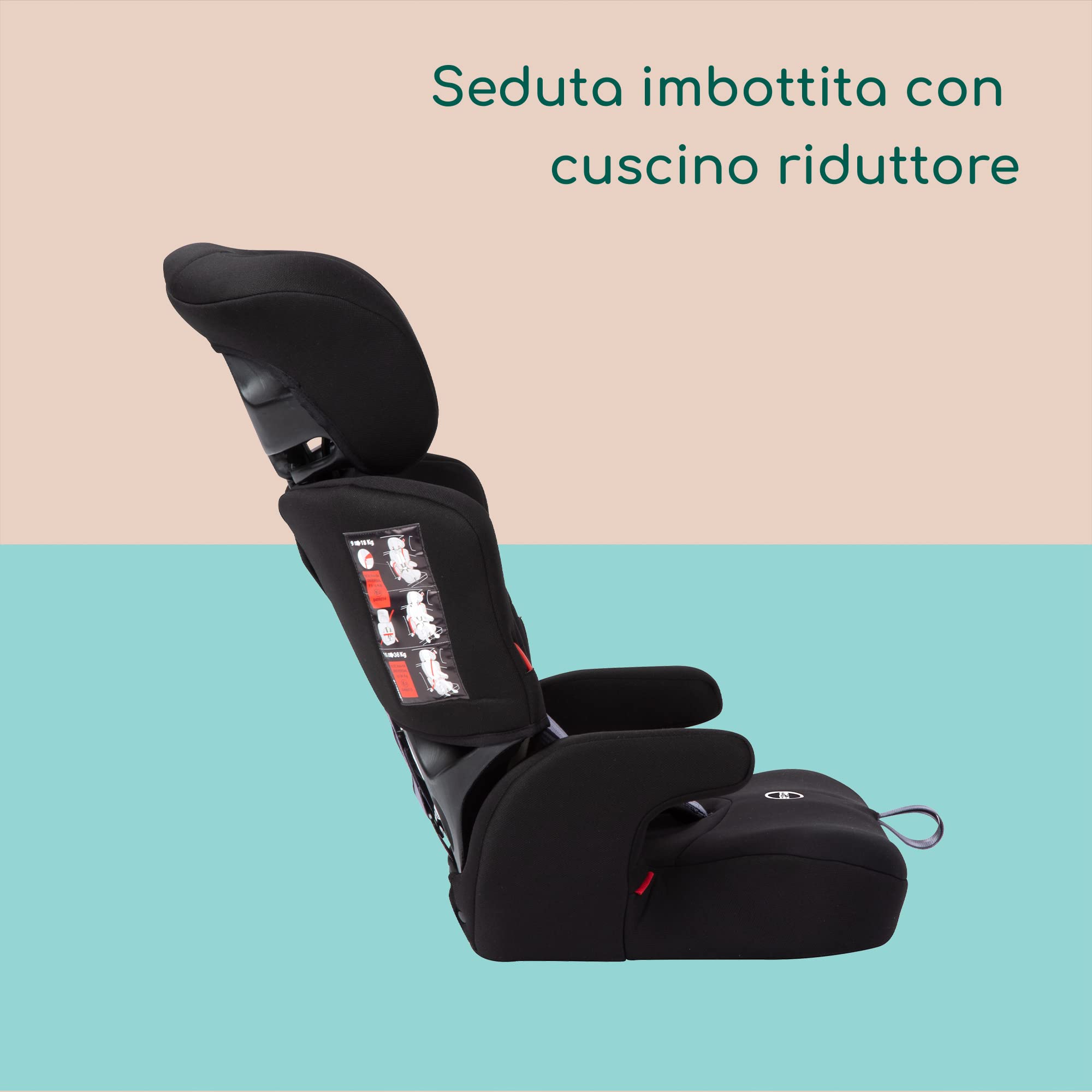 Bebé Confort Ever Safe Plus seggiolino auto 9-36 kg Full Black