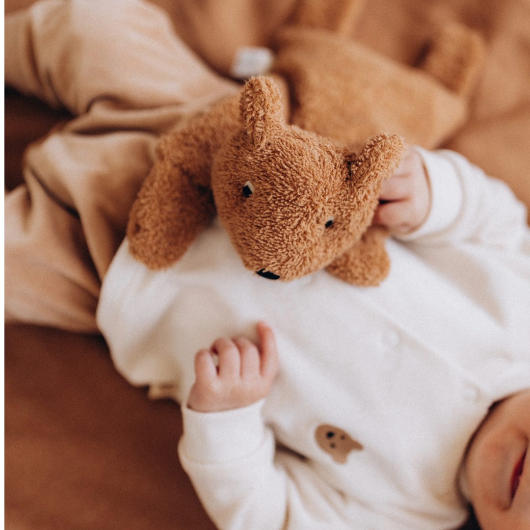 Wooly Organic Teddy cuscino termico noccioli ciliegia