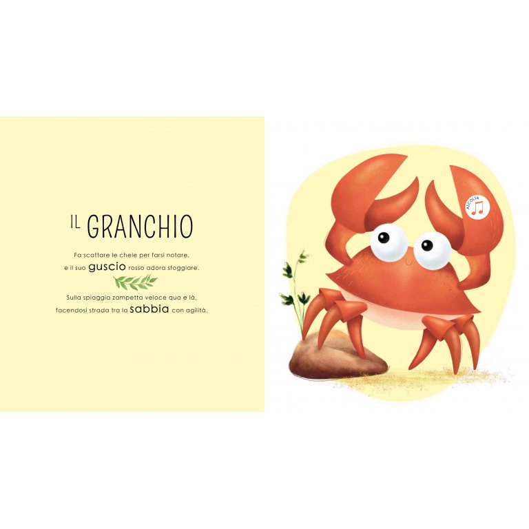 Sassi Chi c’è nel Mare libro sonoro bimbi 2+ anni
