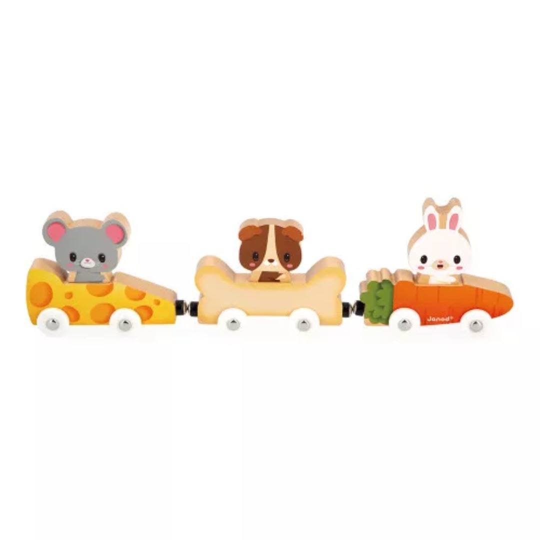 Janod Animali Domestici gioco magnetico in legno 18 mesi
