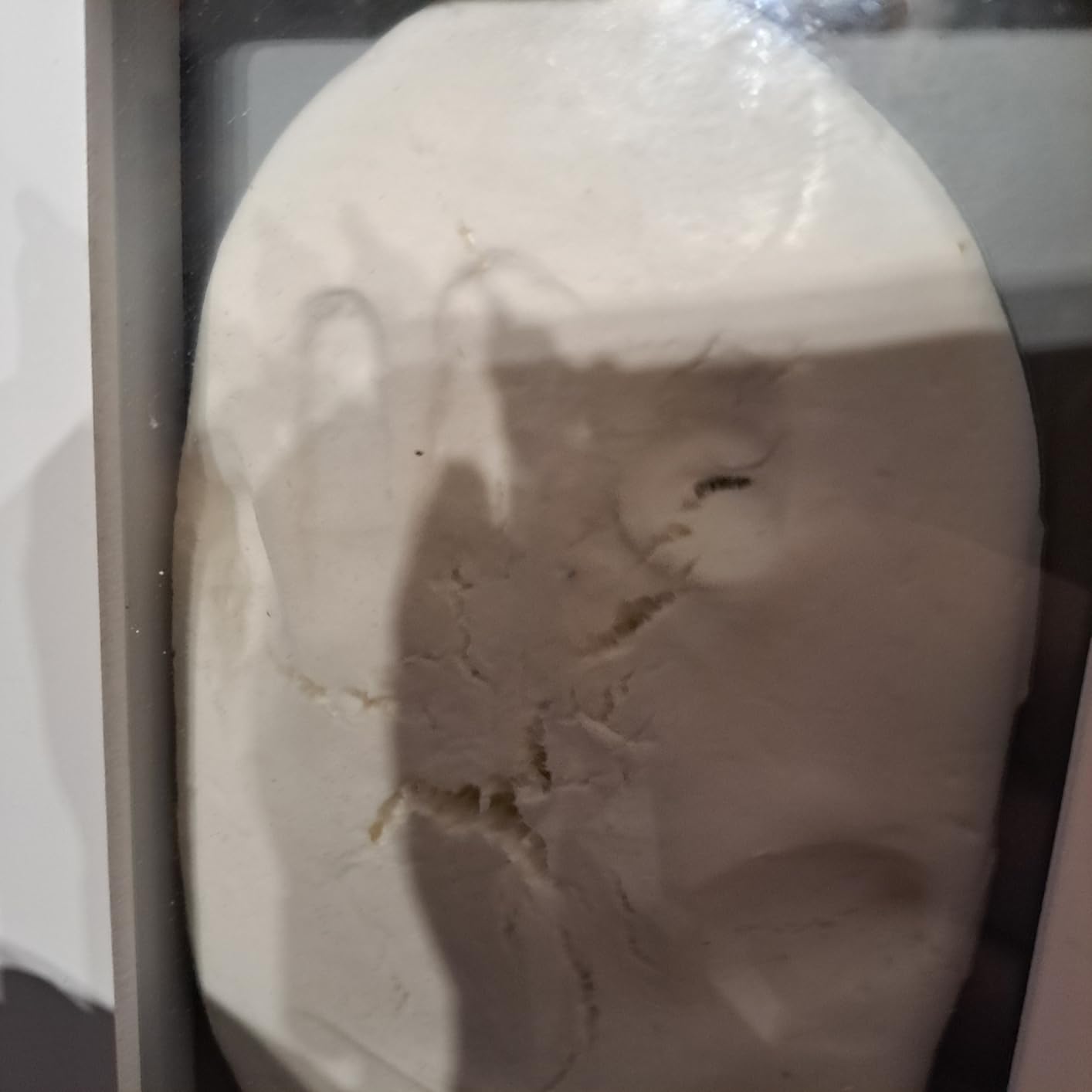 Jané cornice impronta bebè 2 paste bianche