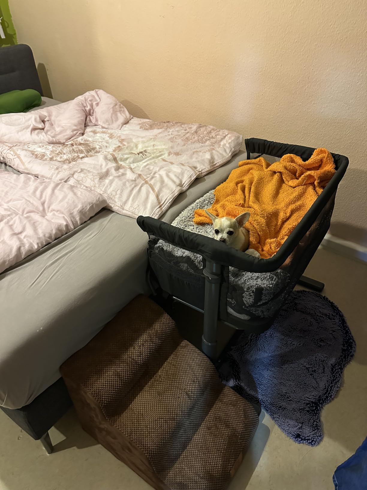 Bebé Confort Zina culla fianco letto Mineral Graphite co-sleeping