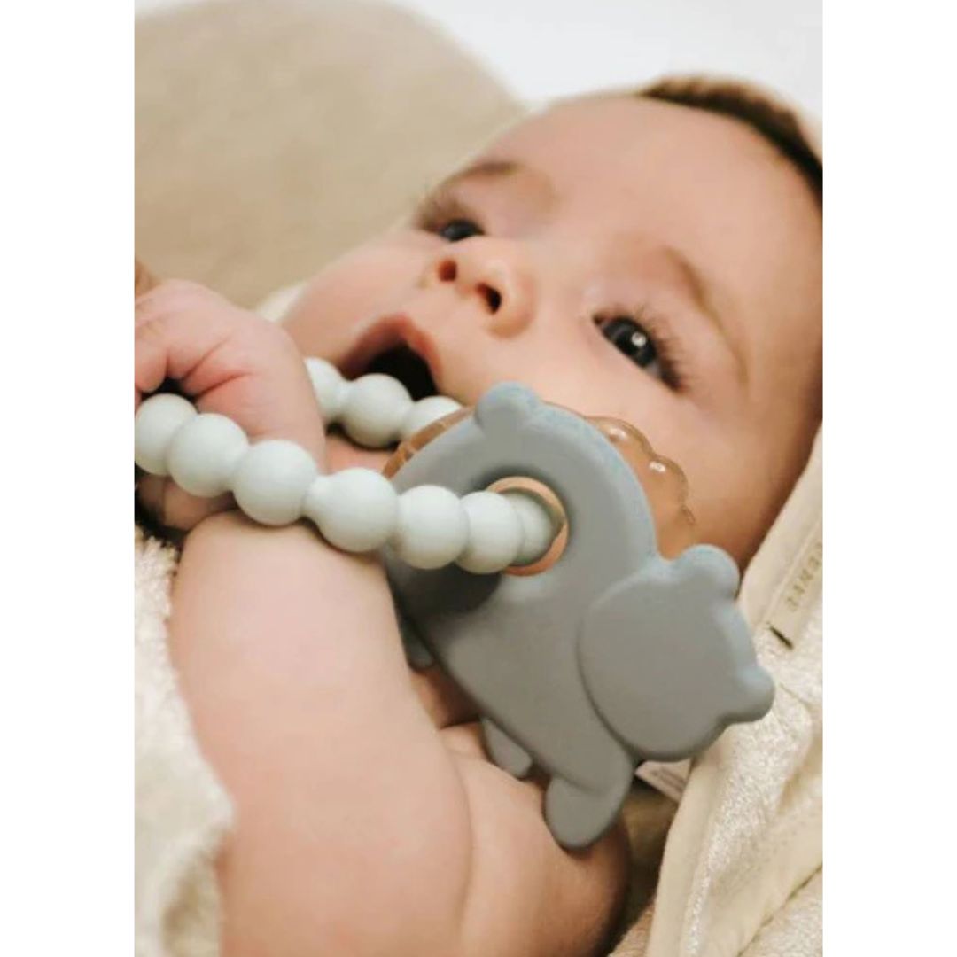Bamboom massaggiagengive orso e pesce in silicone