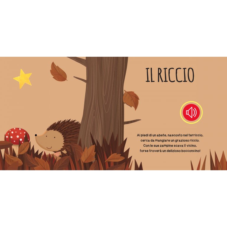 Sassi Libri Sonori libro sonoro immagini e suoni
