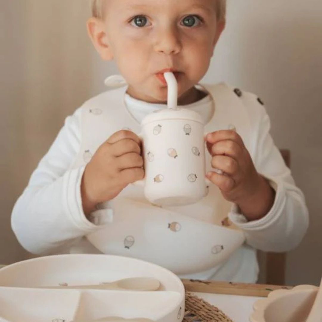 Bamboom Dinner Set pappa in silicone con ventosa