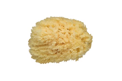 Bebé Confort Spugna Naturale Bagno Neonato Fibra Naturale