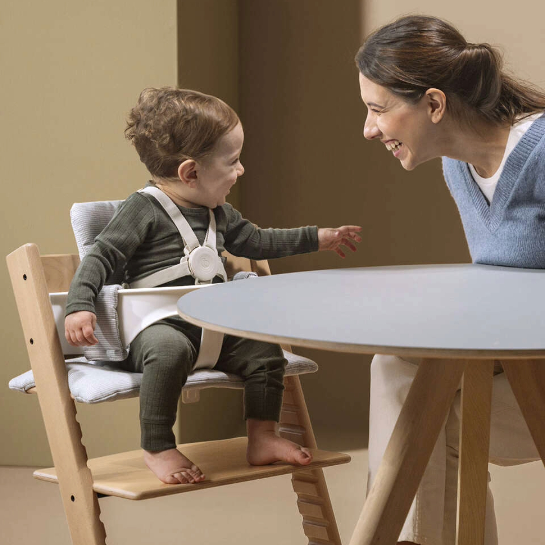 Stokke Tripp Trapp Cintura di Sicurezza 2 imbracatura 5 punti