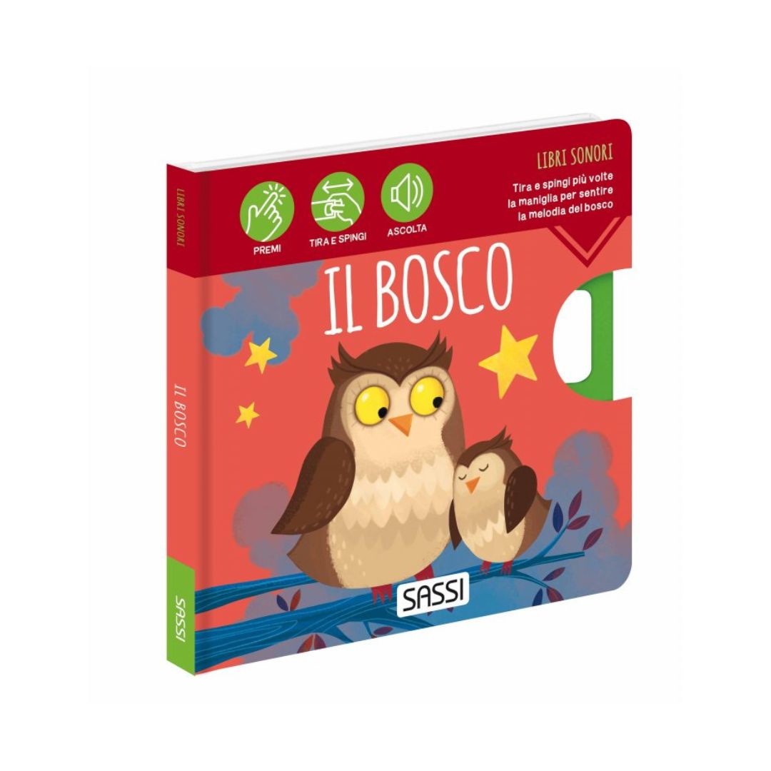 Sassi Libri Sonori libro sonoro immagini e suoni