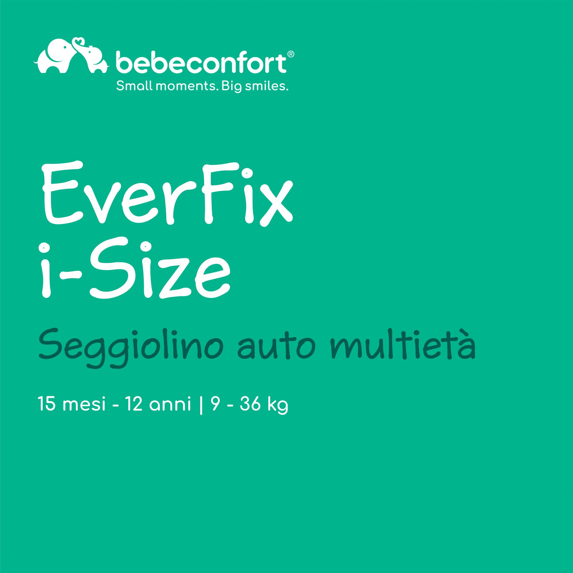 Bébé Confort EverFix i-Size Seggiolino Auto Tinted Black 76-150