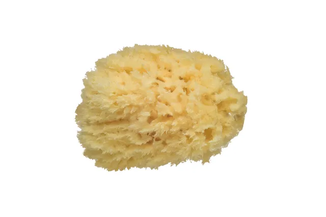 Bebé Confort Spugna Naturale Bagno Neonato Fibra Naturale