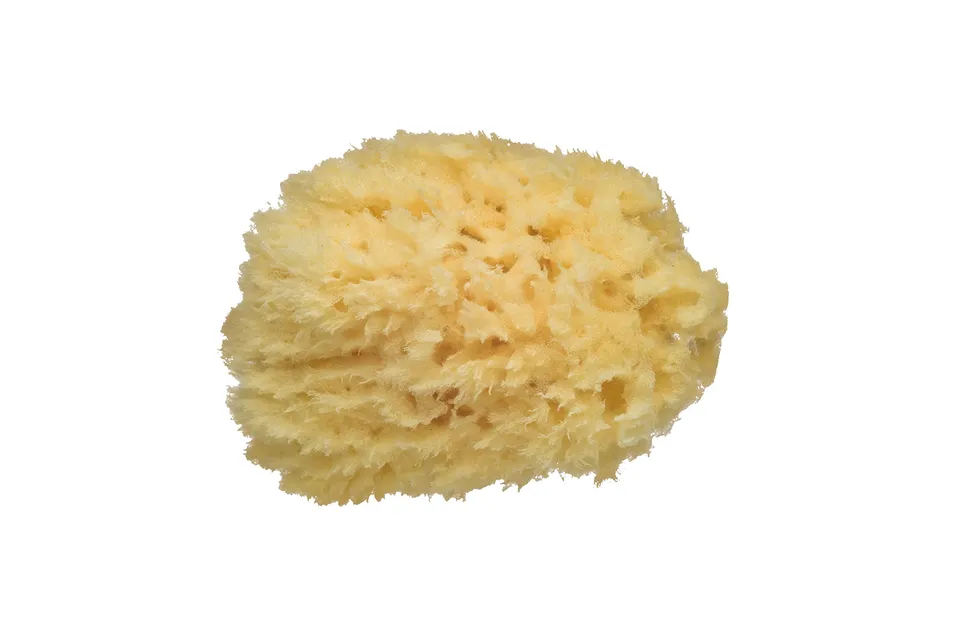 Bebé Confort Spugna Naturale Bagno Neonato Fibra Naturale