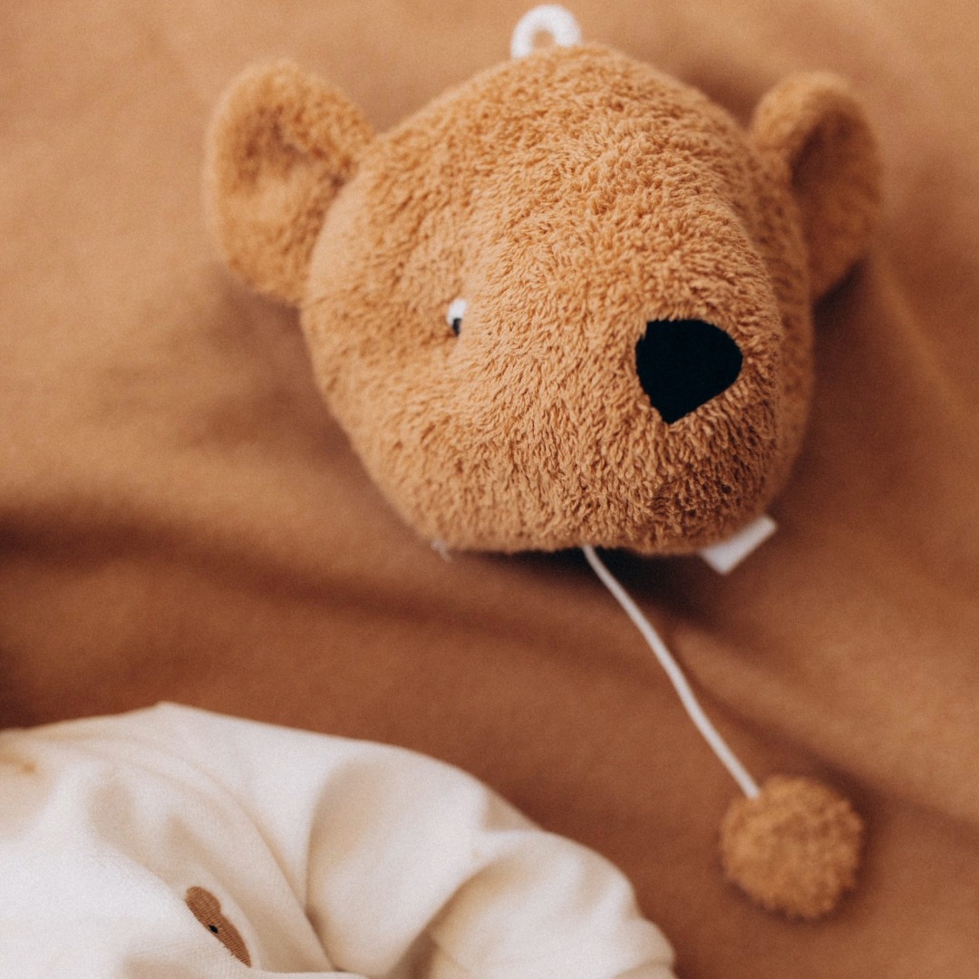 Wooly Organic Teddy Carillon orsacchiotto 20 cm cotone bio